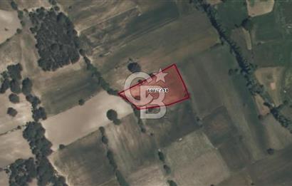 Kütahya Çavdarhisar Yenicearmutcuk Köyü Satılık 2.807 m² Tarla