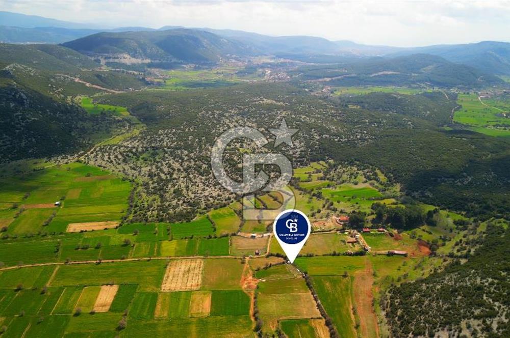 MUĞLA MENTEŞE AKKAYA MAHALLESİ'NDE SATILIK ARAZİ