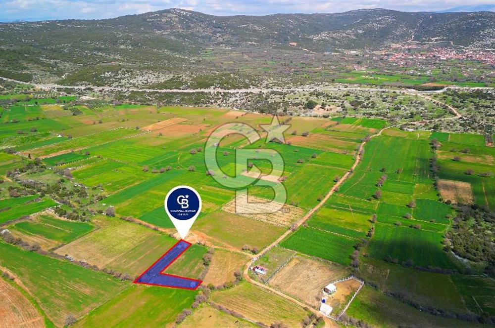 MUĞLA MENTEŞE AKKAYA MAHALLESİ'NDE SATILIK ARAZİ