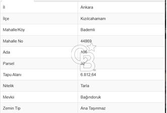 ACİL SATILIK 6812M² TEK TAPU TARLA!KIZILCAHAMAM BADEMLİ! - 2 - 351114