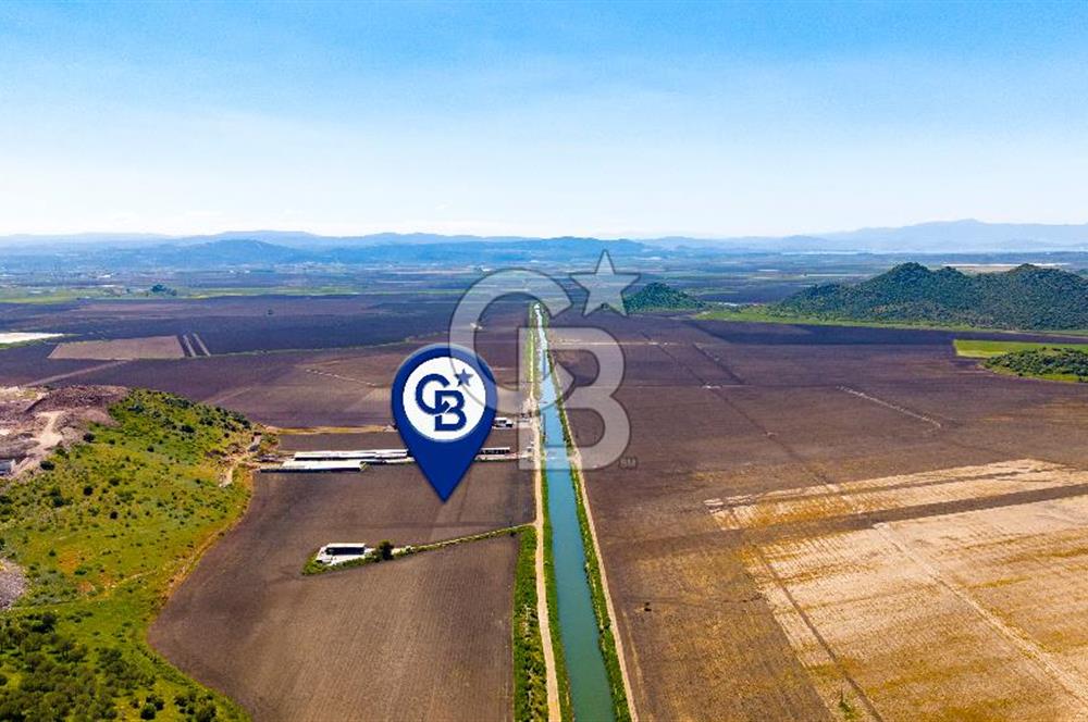 Dikili İsmetpaşa Mah. Satılık 34 Dönüm Tarla