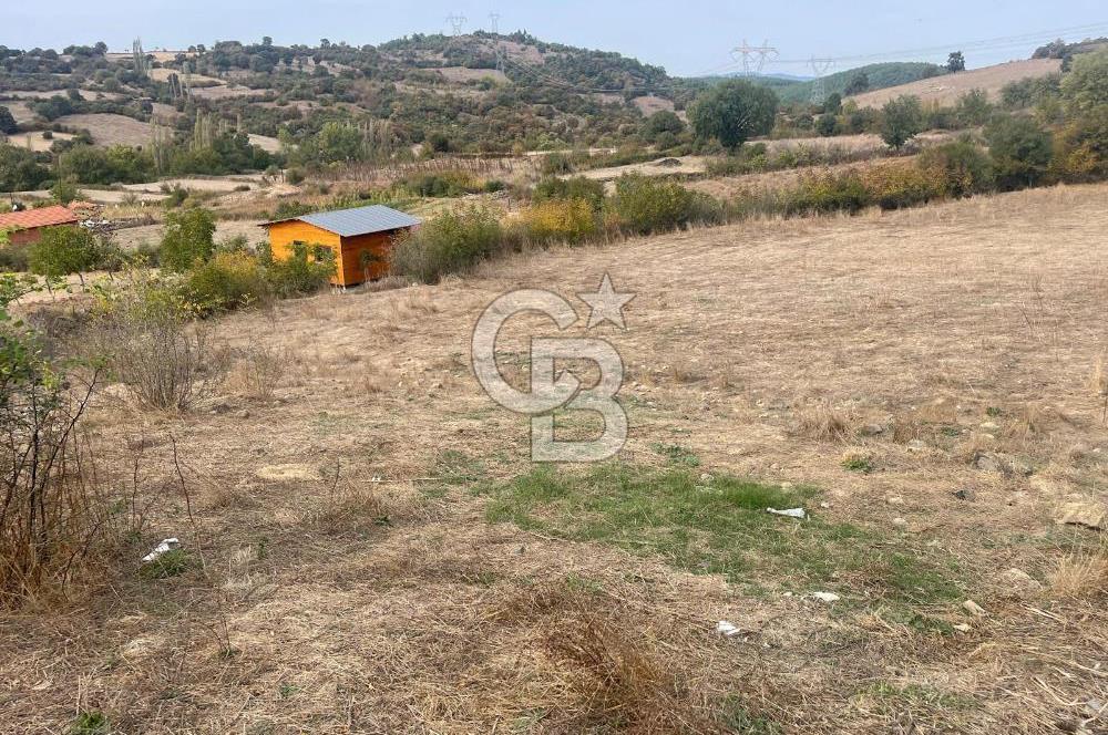 Çanakkale Yenice Boynanlar Köyü’nde İmarlı Satılık Arsa