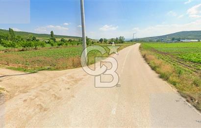 Yenişehir Toprakocak Satılık 1.200.000 TL Altyapılı Tarla