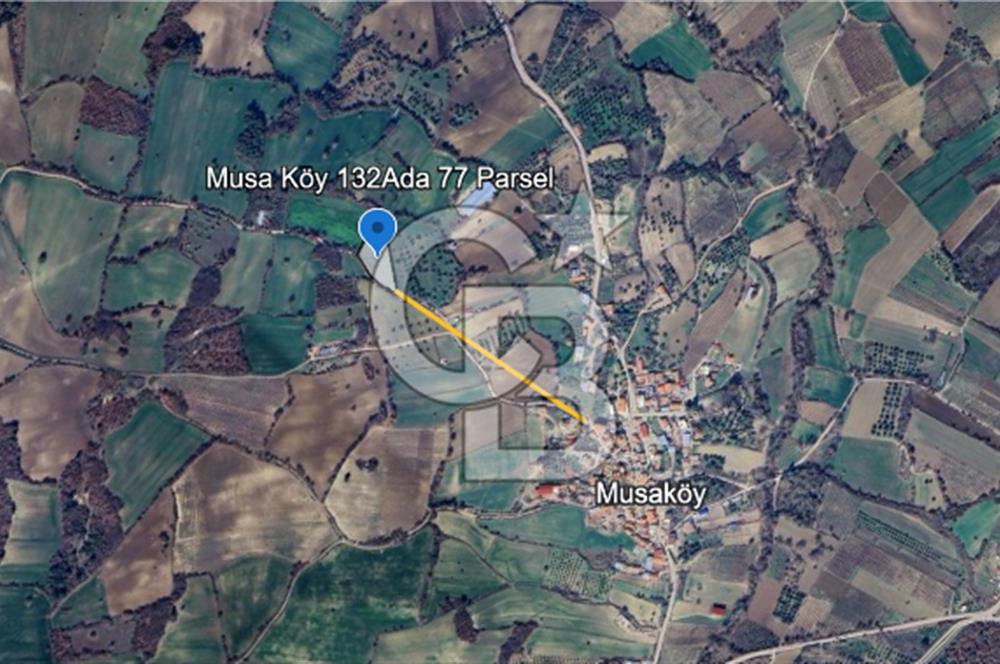 ÇANAKKALE MERKEZ MUSAKÖY'DE SATILIK TARLA