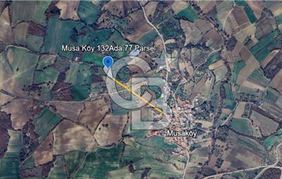 ÇANAKKALE MERKEZ MUSAKÖY'DE SATILIK TARLA