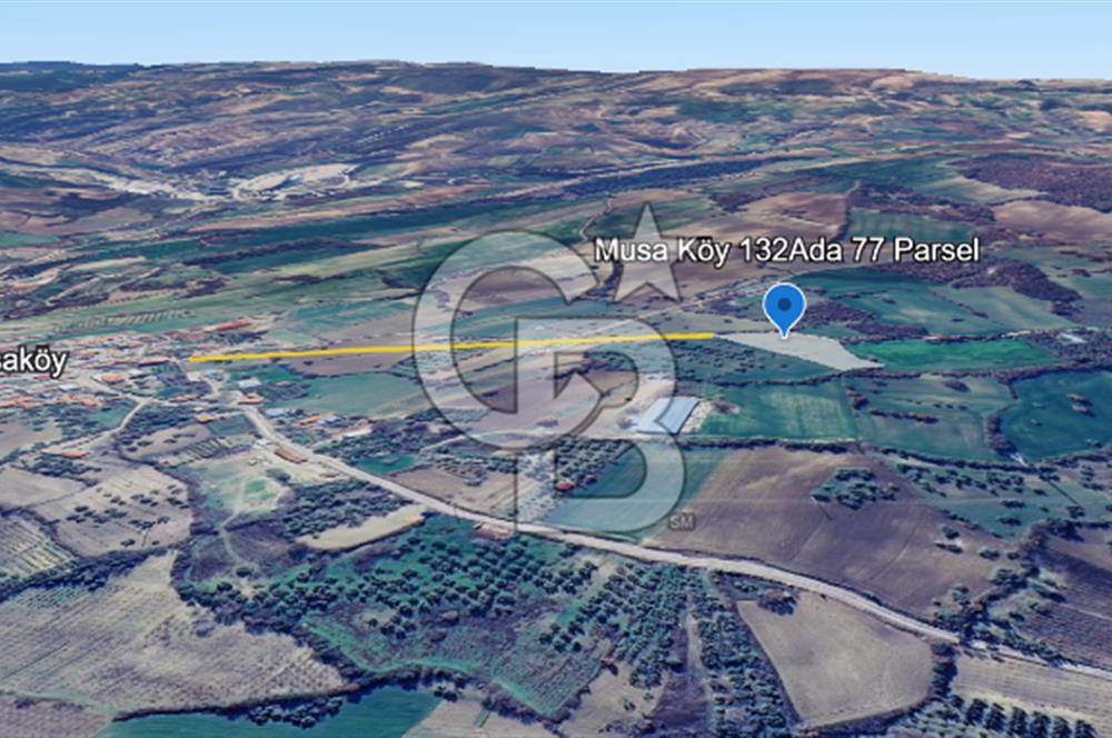 ÇANAKKALE MERKEZ MUSAKÖY'DE SATILIK TARLA