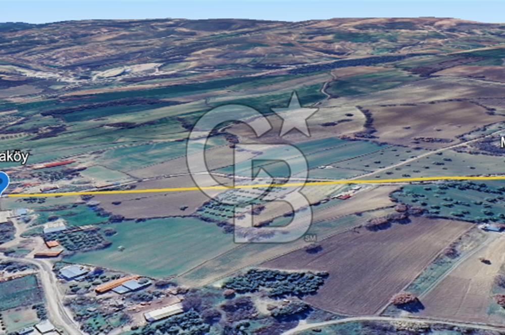 ÇANAKKALE MERKEZ MUSAKÖY'DE SATILIK TARLA