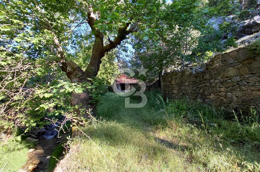 Burhaniye Sübeylidere’de Dere Kenarında Avlulu Köy Evi