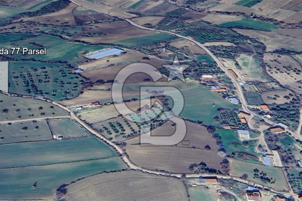 ÇANAKKALE MERKEZ MUSAKÖY'DE SATILIK TARLA
