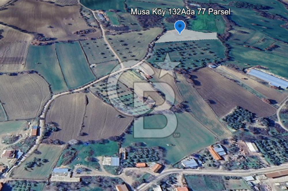 ÇANAKKALE MERKEZ MUSAKÖY'DE SATILIK TARLA
