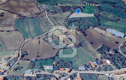 ÇANAKKALE MERKEZ MUSAKÖY'DE SATILIK TARLA