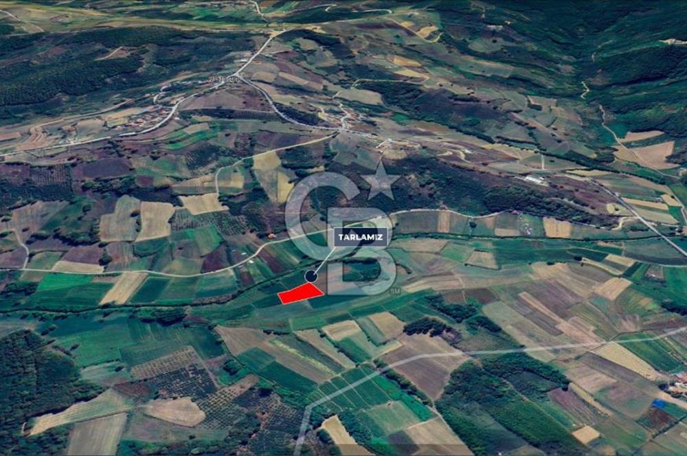Kandıra Topluca Satılık 2.377 metrekare Altyapılı Tarla