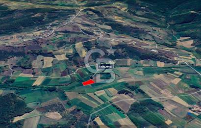 Kandıra Topluca Satılık 2.377 metrekare Altyapılı Tarla