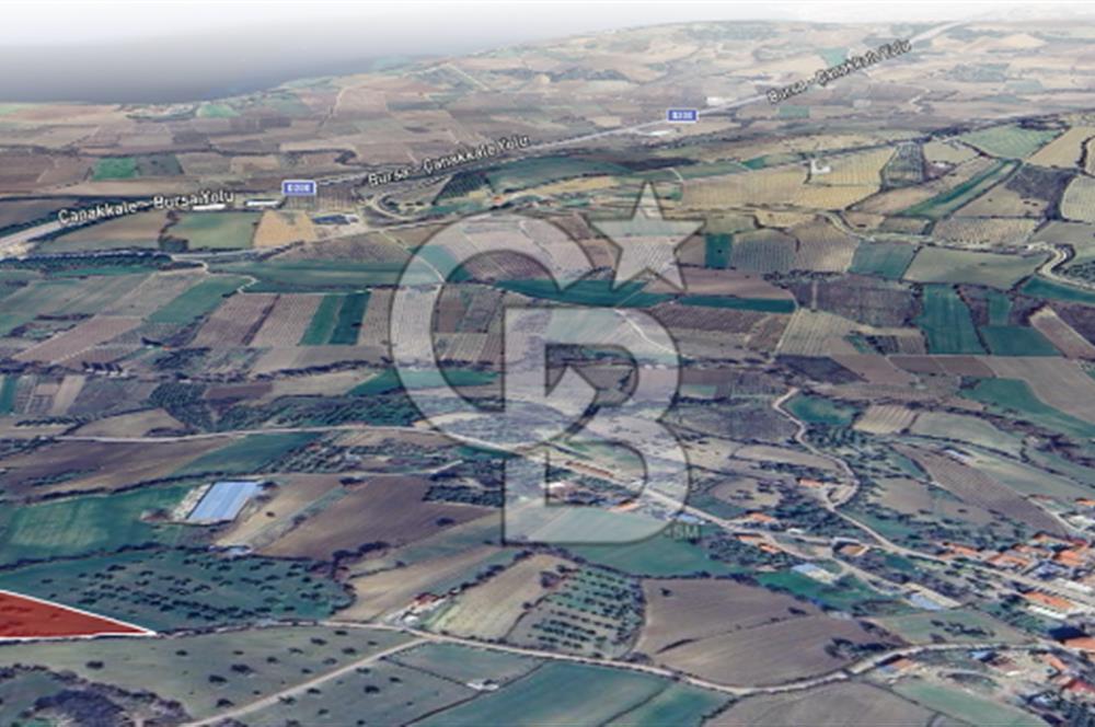ÇANAKKALE MERKEZ MUSAKÖY'DE SATILIK TARLA
