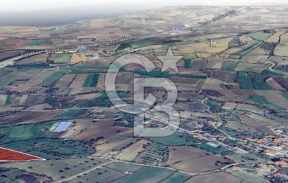 ÇANAKKALE MERKEZ MUSAKÖY'DE SATILIK TARLA