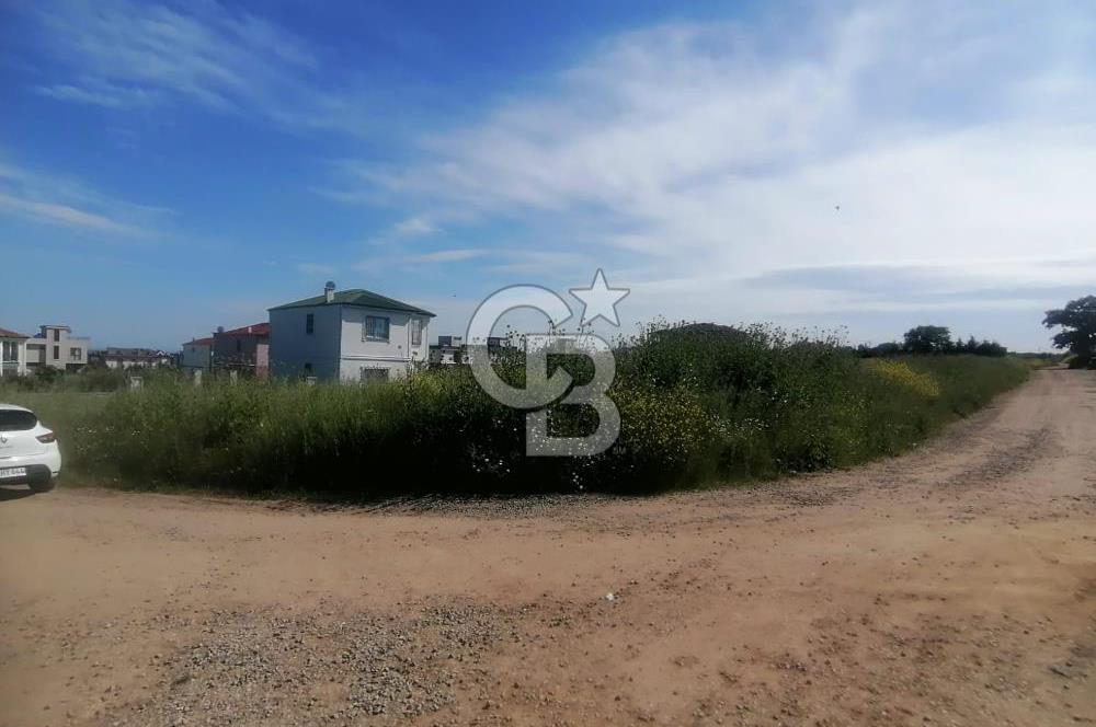 Tekirdağ Yenice'de 324 M2 Köşe Parsel Satılık Villa İmarlı Arsa