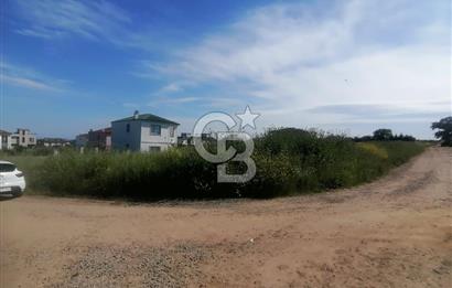 Tekirdağ Yenice'de 324 M2 Köşe Parsel Satılık Villa İmarlı Arsa