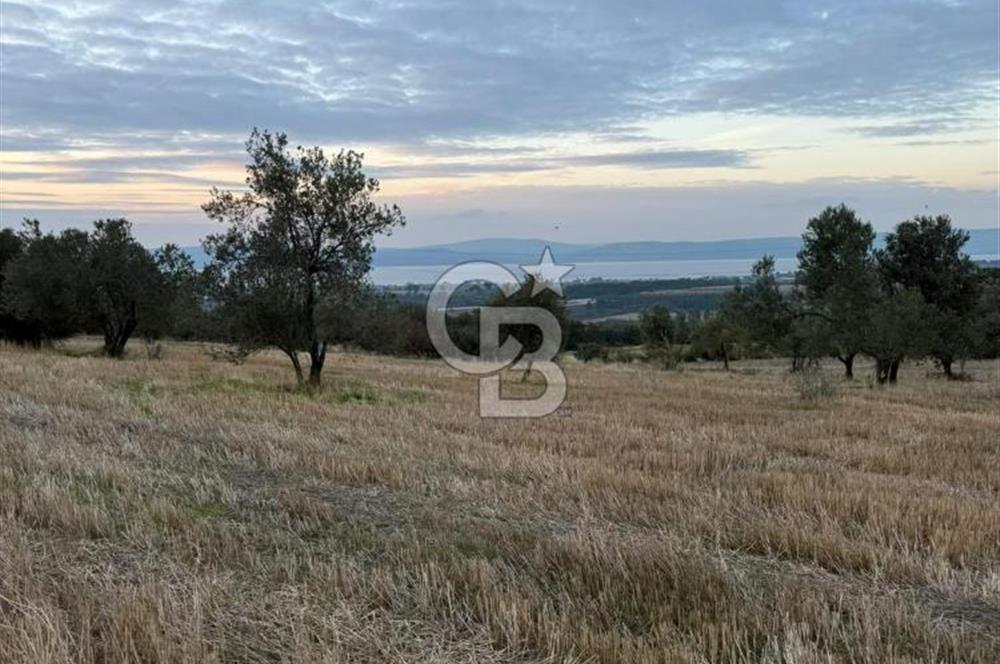 ÇANAKKALE MERKEZ MUSAKÖY'DE SATILIK TARLA