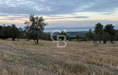 ÇANAKKALE MERKEZ MUSAKÖY'DE SATILIK TARLA