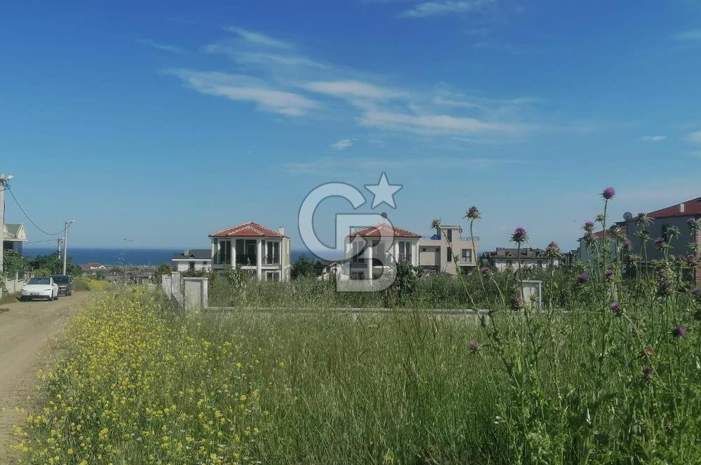 Tekirdağ Yenice'de 324 M2 Köşe Parsel Satılık Villa İmarlı Arsa
