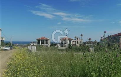 Tekirdağ Yenice'de 324 M2 Köşe Parsel Satılık Villa İmarlı Arsa