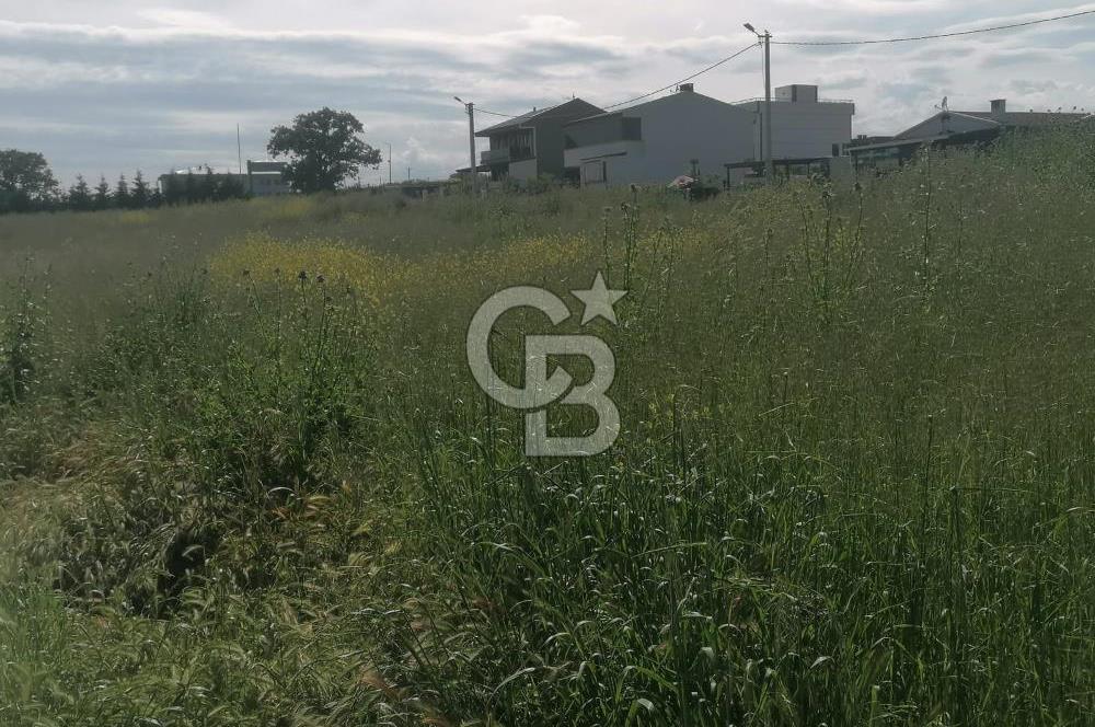Tekirdağ Yenice'de 324 M2 Köşe Parsel Satılık Villa İmarlı Arsa