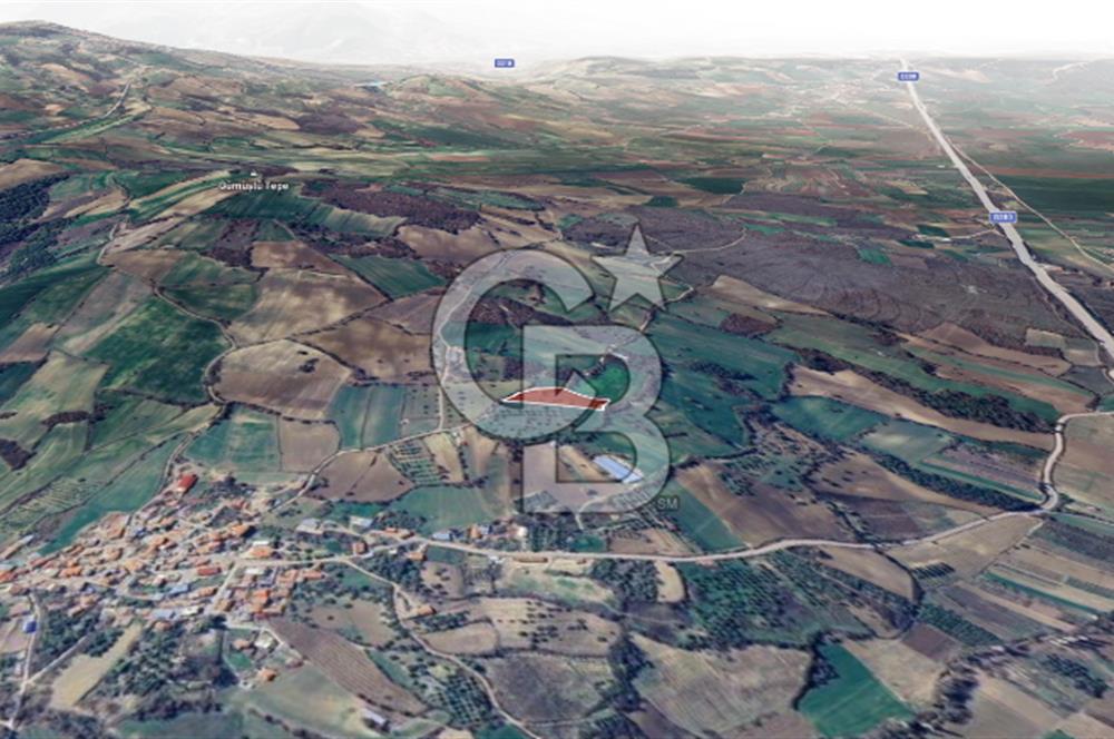 ÇANAKKALE MERKEZ MUSAKÖY'DE SATILIK TARLA
