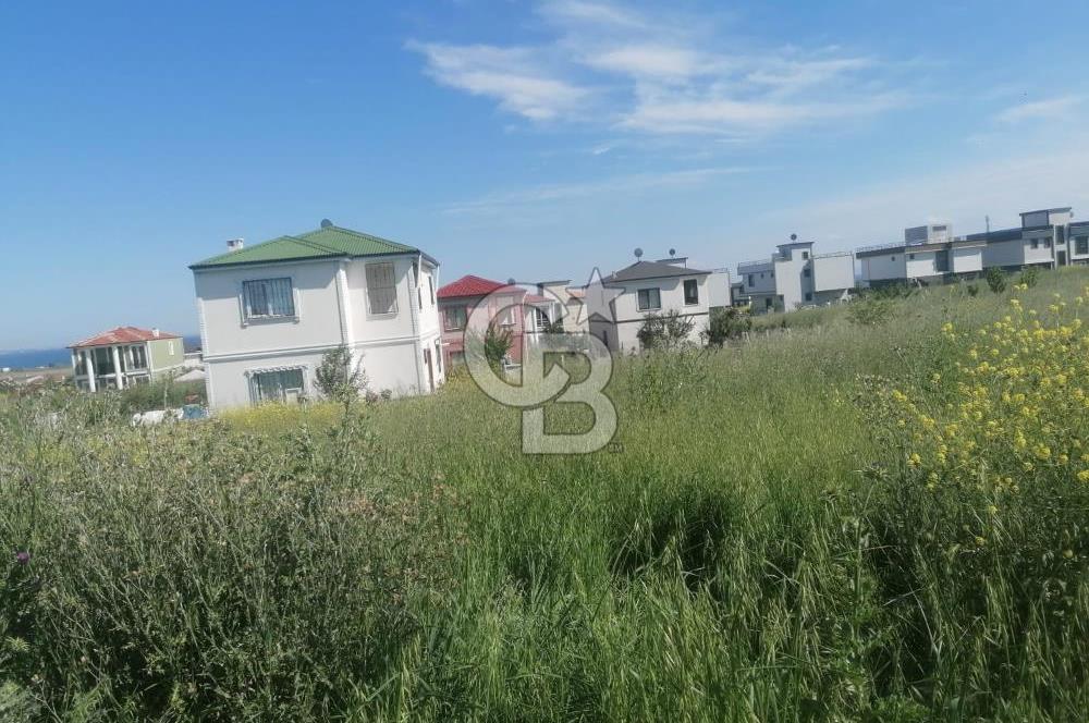 Tekirdağ Yenice'de 324 M2 Köşe Parsel Satılık Villa İmarlı Arsa