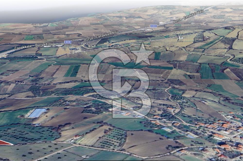 ÇANAKKALE MERKEZ MUSAKÖY'DE SATILIK TARLA