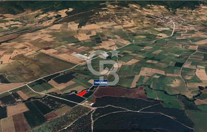 Yenişehir Toprakocak Satılık 1.200.000 TL Altyapılı Tarla