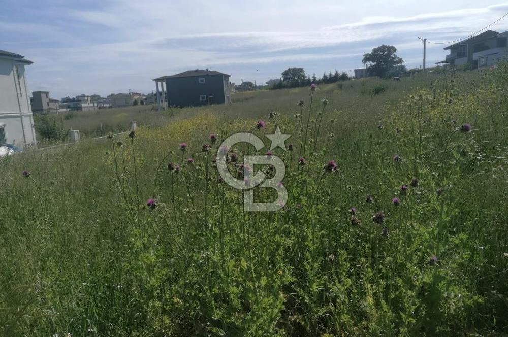 Tekirdağ Yenice'de 324 M2 Köşe Parsel Satılık Villa İmarlı Arsa
