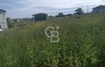 Tekirdağ Yenice'de 324 M2 Köşe Parsel Satılık Villa İmarlı Arsa