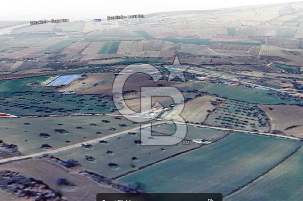 ÇANAKKALE MERKEZ MUSAKÖY'DE SATILIK TARLA