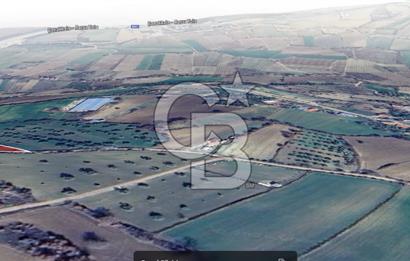 ÇANAKKALE MERKEZ MUSAKÖY'DE SATILIK TARLA