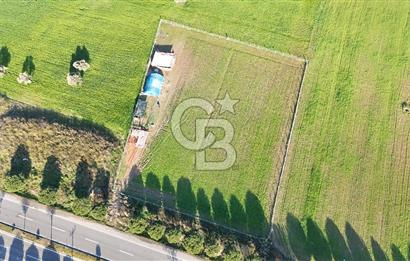 URLA TORASAN İÇMELER YOLUNA 55 METRE CEPHELİ SATILIK TARLA