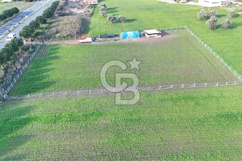 URLA TORASAN İÇMELER YOLUNA 55 METRE CEPHELİ SATILIK TARLA