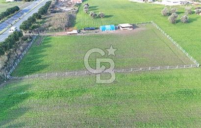 URLA TORASAN İÇMELER YOLUNA 55 METRE CEPHELİ SATILIK TARLA