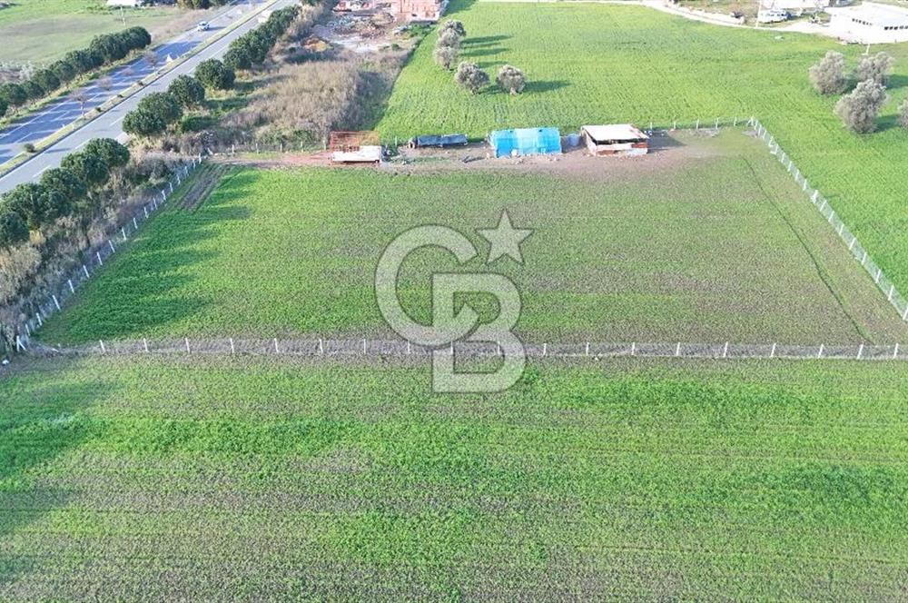 URLA TORASAN İÇMELER YOLUNA 55 METRE CEPHELİ SATILIK TARLA