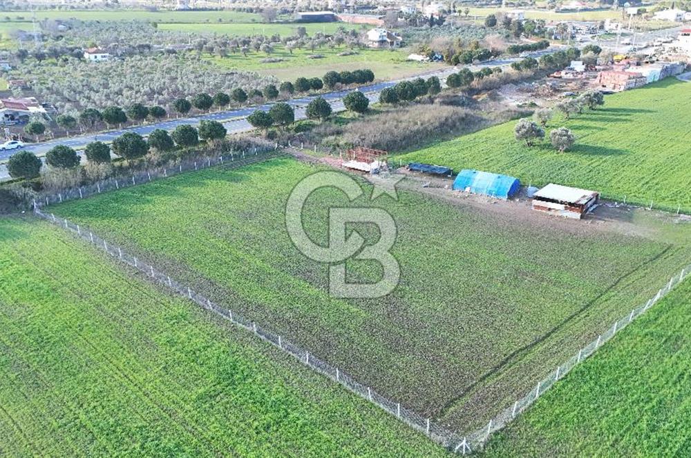 URLA TORASAN İÇMELER YOLUNA 55 METRE CEPHELİ SATILIK TARLA