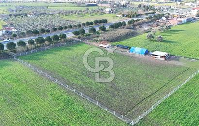 URLA TORASAN İÇMELER YOLUNA 55 METRE CEPHELİ SATILIK TARLA
