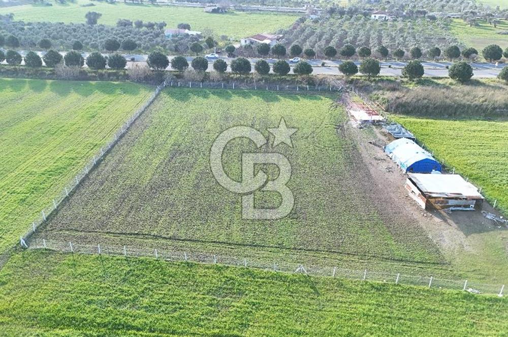 URLA TORASAN İÇMELER YOLUNA 55 METRE CEPHELİ SATILIK TARLA