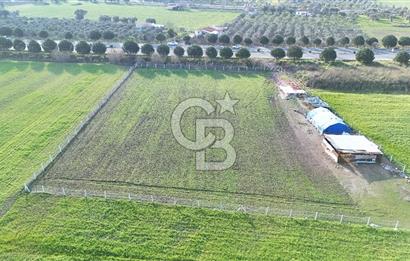 URLA TORASAN İÇMELER YOLUNA 55 METRE CEPHELİ SATILIK TARLA