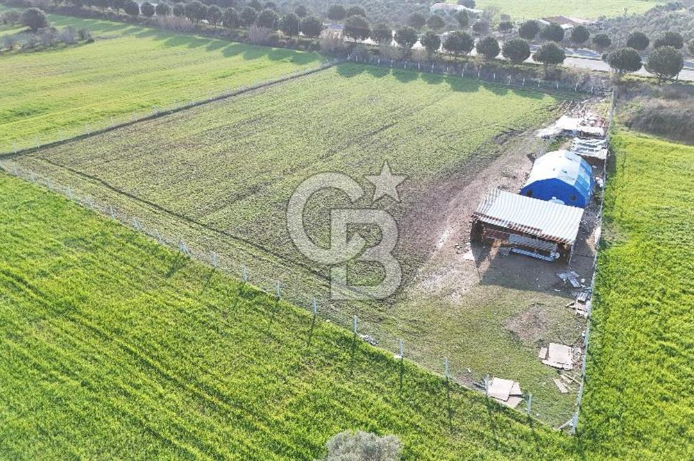 URLA TORASAN İÇMELER YOLUNA 55 METRE CEPHELİ SATILIK TARLA