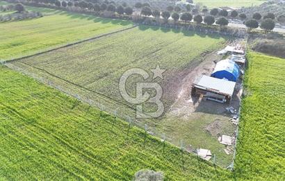 URLA TORASAN İÇMELER YOLUNA 55 METRE CEPHELİ SATILIK TARLA