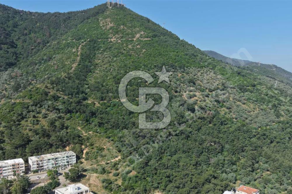 Balçova Deniz Manzaralı Yatırımlık Fırsat İmara Komşu 11.174 m2