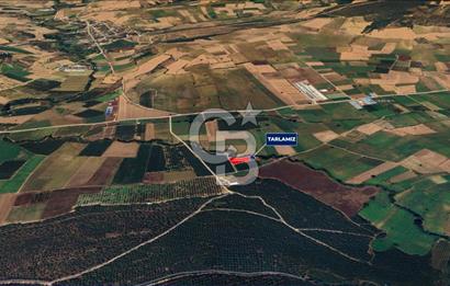 Yenişehir Toprakocak Satılık 1.200.000 TL Altyapılı Tarla