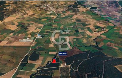 Yenişehir Toprakocak Satılık 1.200.000 TL Altyapılı Tarla