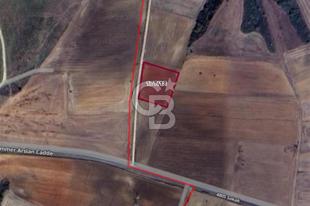 Tekirdağ Malkara İbribey Köyünde 2820 M² Satılık Fırsat Tarla