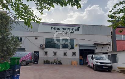 OSB'YE YAKIN 1003 M2 ARSA 700 M2 KAPALI ALANLI FABRİKA
