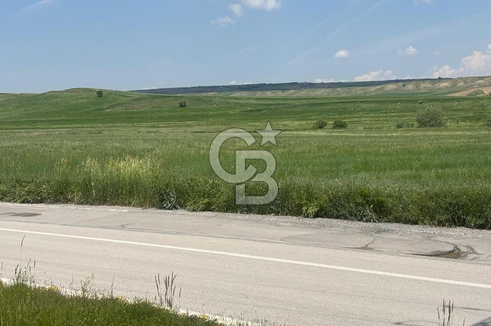 CB Vizyon Hacımuratlı Mahallesi Yola Cephe Yatırımlık Tarla
